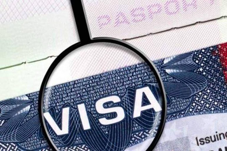 Indian E-Visa Requirements: Everything You Need To Know